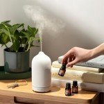 Top 12 Organic Essential Oils Set - Cliganic