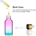 Rainbow 2 oz Glass Dropper Bottle Set