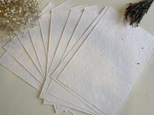 Plantable Seed Paper - Eco-Friendly Craft Cards