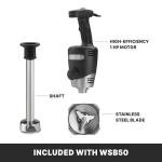 Heavy Duty Immersion Blender with Removable Shaft