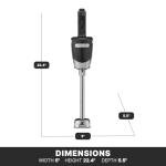 Waring Quik Stik Plus Immersion Blender 10