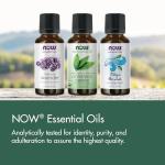 Organic Lavender Essential Oil - Soothing Aroma