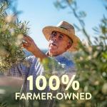 Extra Virgin Olive Oil - First Cold Pressed