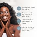 100% Pure Olive Massage & Body Oil, 1 Gallon