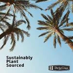 100% Pure Vegetable Glycerin in Glass Bottle