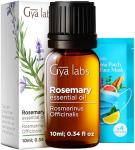 Rosemary Essential Oil for Hair and Skin