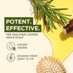 Rosemary Essential Oil for Hair and Skin