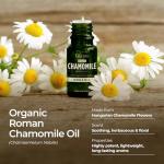 Organic Roman Chamomile Essential Oil for Skin