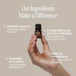 Top 12 Organic Essential Oils Set - Cliganic