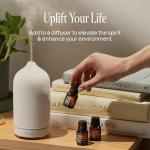 Top 12 Organic Essential Oils Set - Cliganic