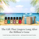 Summer Set of 6 Fragrance Oils for Soapmaking