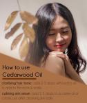 Cedarwood Himalayan Essential Oil - 8 fl oz Bottl
