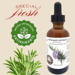 Rosemary Antioxidant Co2 Extract - 1oz