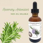 Rosemary Antioxidant Co2 Extract - 1oz
