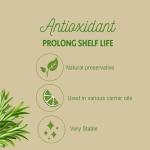 Rosemary Antioxidant Co2 Extract - 1oz