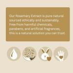 Rosemary Antioxidant Co2 Extract - 1oz