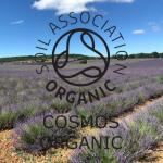 Organic French Lavender Essential Oil - 10ml