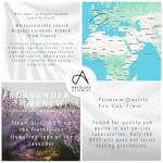 Organic French Lavender Essential Oil - 10ml