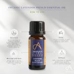 Organic French Lavender Essential Oil - 10ml