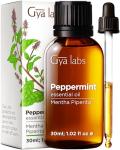 Gya Labs Natural Peppermint Oil for Aromatherapy