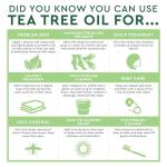 Australian Tea Tree Oil - Skin & Hair Care 2oz