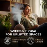 Roman Chamomile Essential Oil for Aromatherapy