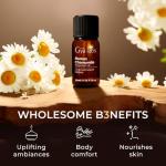 Roman Chamomile Essential Oil for Aromatherapy