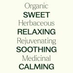 Organic German Chamomile Essential Oil – 2.5 mL