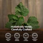 Organic Patchouli Essential Oil - 100% Pure 0.34 Fl Oz