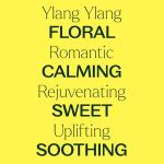 Organic Ylang Ylang Essential Oil - 30 mL