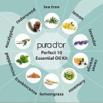 Organic Essential Oils Gift Set in Wood Box