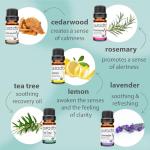 Organic Essential Oils Gift Set in Wood Box