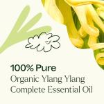 Pure Ylang Ylang Essential Oil for Aromatherapy 10 mL