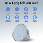 Softbox Lighting Kit, 20x28in, 2-Pack