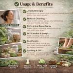 Peppermint Essential Oil - 16 fl oz, 100% Pure