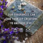 P&J Trading Grapefruit Oil 30ml for Soap and Candles