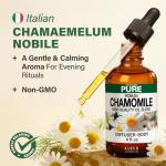 Roman Chamomile Essential Oil - 4 Fl Oz