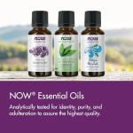 NOW Grapefruit Essential Oil, 100% Pure Aromatherapy