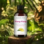 Ylang Ylang Essential Oil – 100% Pure Aromatherapy