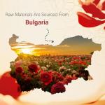 Organic Rose Essential Oil for Diffuser and Massage - 10ML