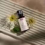 Jasmine Absolute Oil Blend with Jojoba, 1 oz