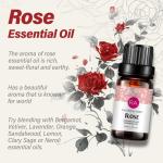 Organic Rose Essential Oil for Diffuser and Massage - 10ML