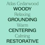 Organic Atlas Cedarwood Essential Oil - 10 mL