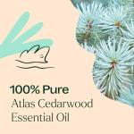 Organic Atlas Cedarwood Essential Oil - 10 mL