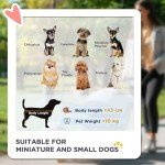 PawHut Pet Jogger Stroller for Medium and Small Dogs