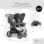 Hauck Roadster Duo SLX - Twin Chair for Twins