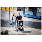 Hauck Rapid 3 Three-Wheel Pushchair - Black