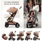 TUCY 3-in-1 Baby Stroller Travel System in Brown