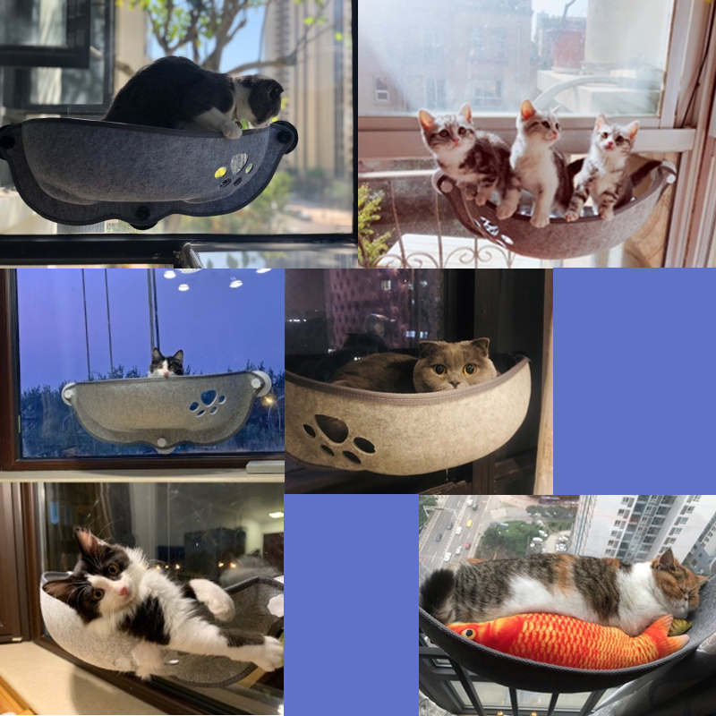 Cat Window Hammock - 20kg Capacity