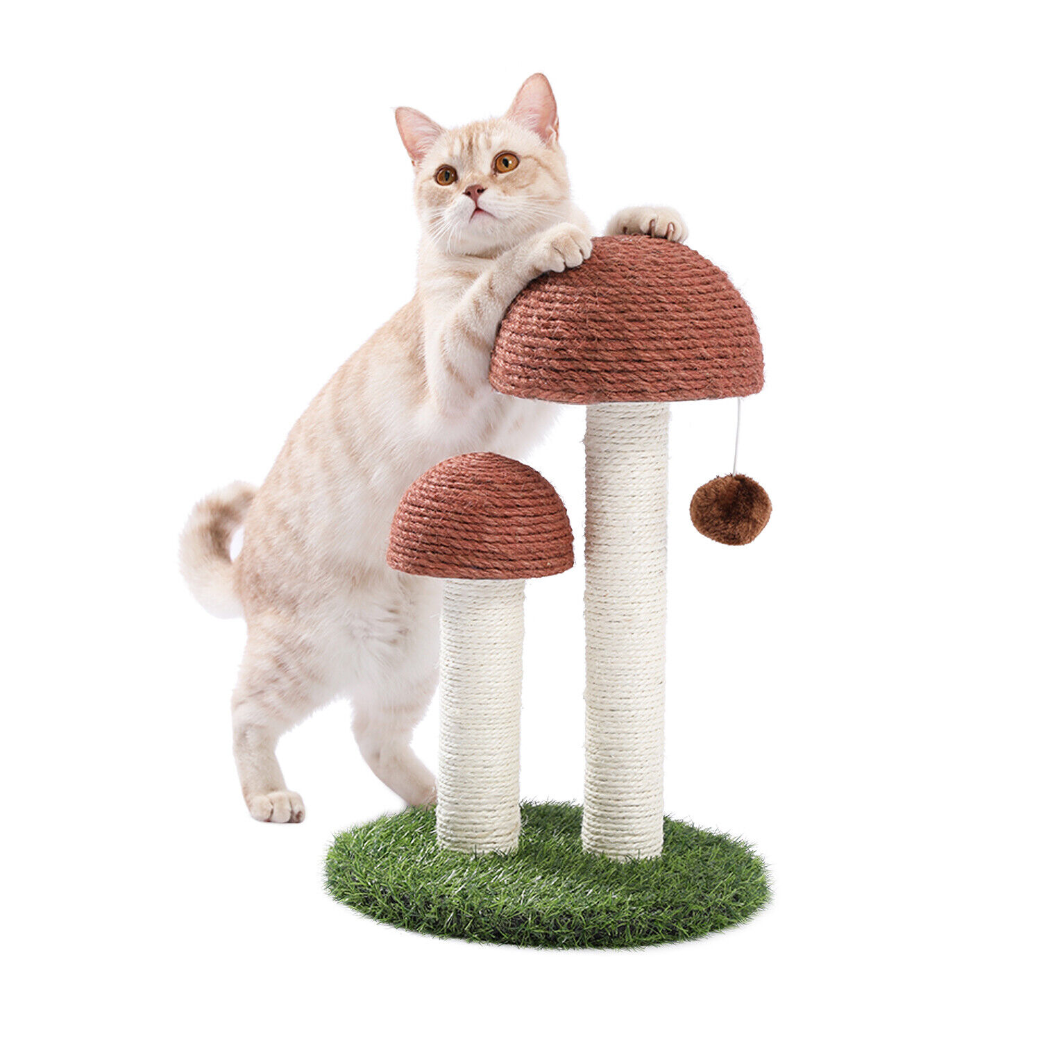 PAWZ Road Cat Tree Scratcher Condo Tower